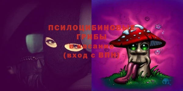 кокс Аркадак